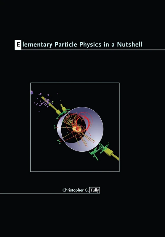 Elementary Particle Physics in a Nutshell: 11
