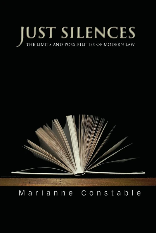 Just Silences: The Limits and Possibilities of Modern Law - Image 1