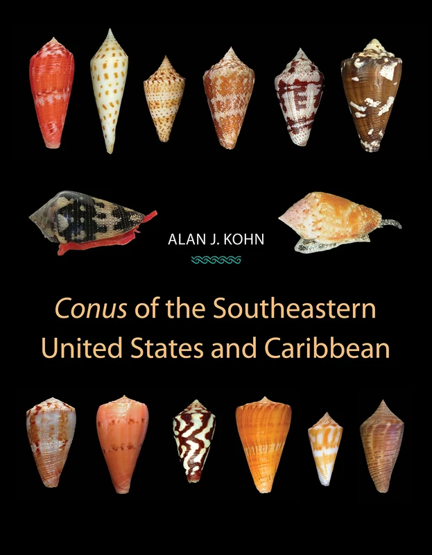 "Conus" of the Southeastern United States and Caribbean