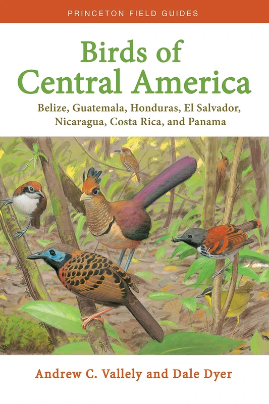 Birds of Central America – Belize, Guatemala, Honduras, El Salvador, Nicaragua, Costa Rica, and Panama: 1 (Princeton Field Guides)
