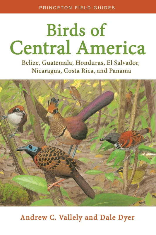 Birds of Central America: Belize, Guatemala, Honduras, El Salvador, Nicaragua, Costa Rica, and Panama: 1 (Princeton Field Guides)