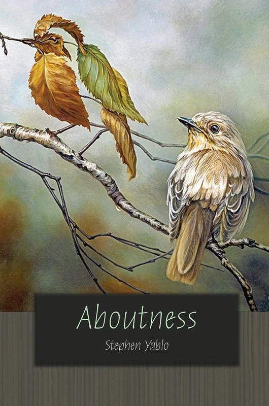 Aboutness (Carl G. Hempel Lecture Series): 3