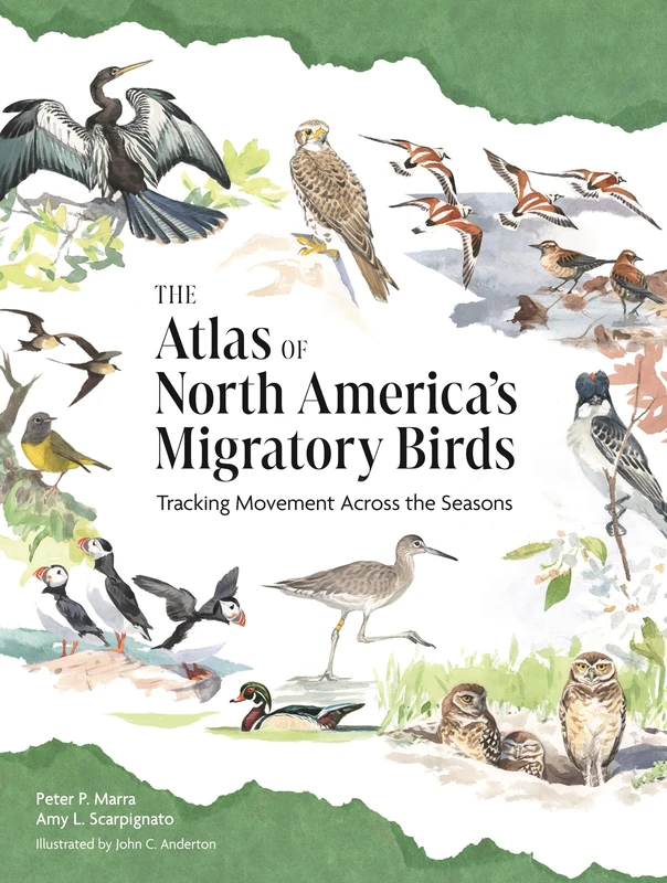 The Atlas of North America’s Migratory Birds: Tracking Movement Across Seasons and Continents