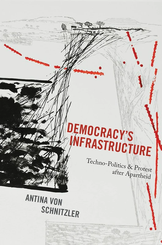 Democracy`s Infrastructure – Techno–Politics and Protest after Apartheid: 9 (Princeton Studies in Culture and Technology)