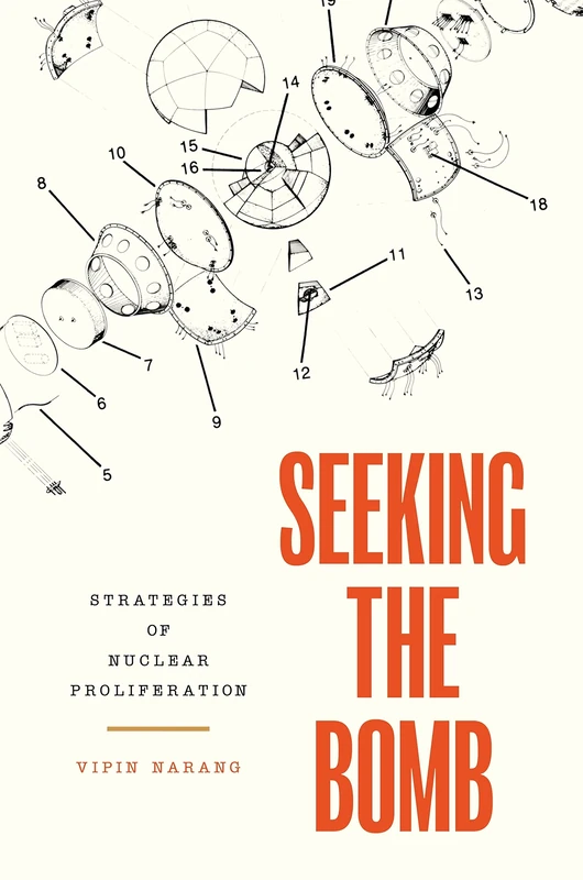 Seeking the Bomb: Strategies of Nuclear Proliferation: 188 (Princeton Studies in International History and Politics) - Image 1