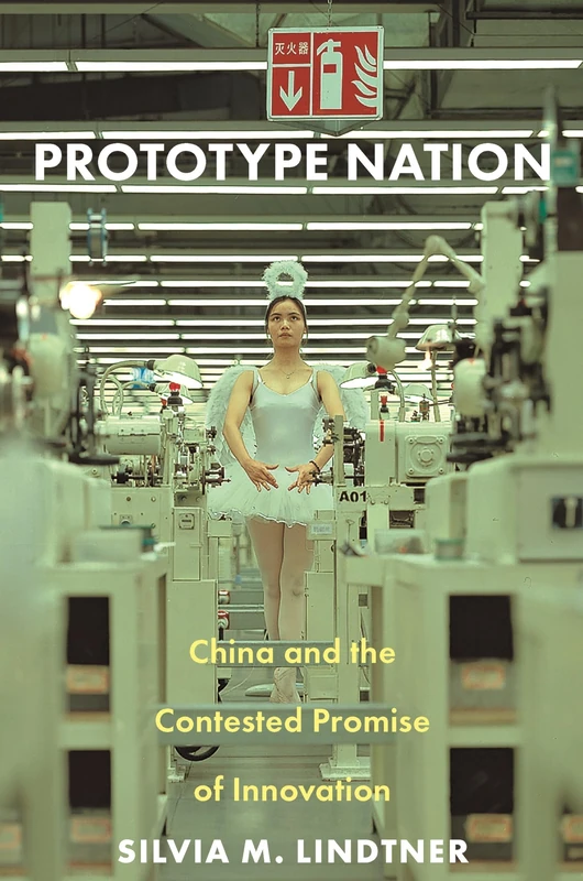 Prototype Nation: China and the Contested Promise of Innovation: 30 (Princeton Studies in Culture and Technology)