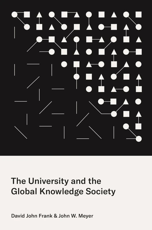 The University and the Global Knowledge Society: 6 (Princeton Studies in Cultural Sociology)