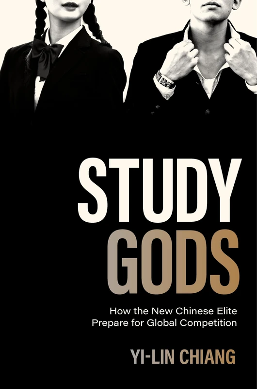 Study Gods: How the New Chinese Elite Prepare for Global Competition: 15 (Princeton Studies in Contemporary China) - Image 1