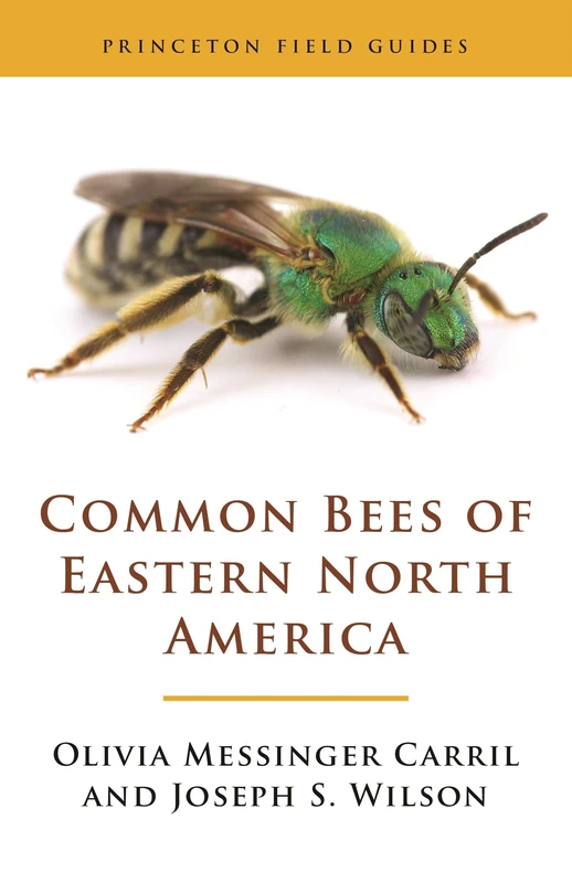 Common Bees of Eastern North America: 123 (Princeton Field Guides)