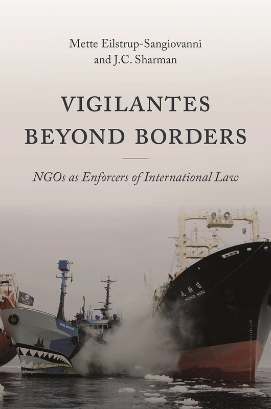 Vigilantes beyond Borders: NGOs as Enforcers of International Law - Image 1