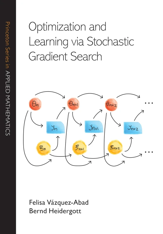 Optimization and Learning via Stochastic Gradient Search (Princeton Series in Applied Mathematics)