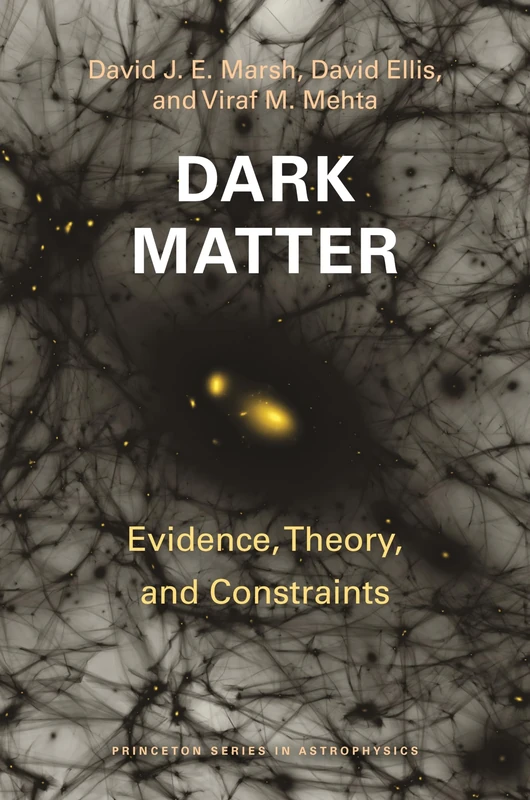 Dark Matter: Evidence, Theory, and Constraints: 64 (Princeton Series in Astrophysics)