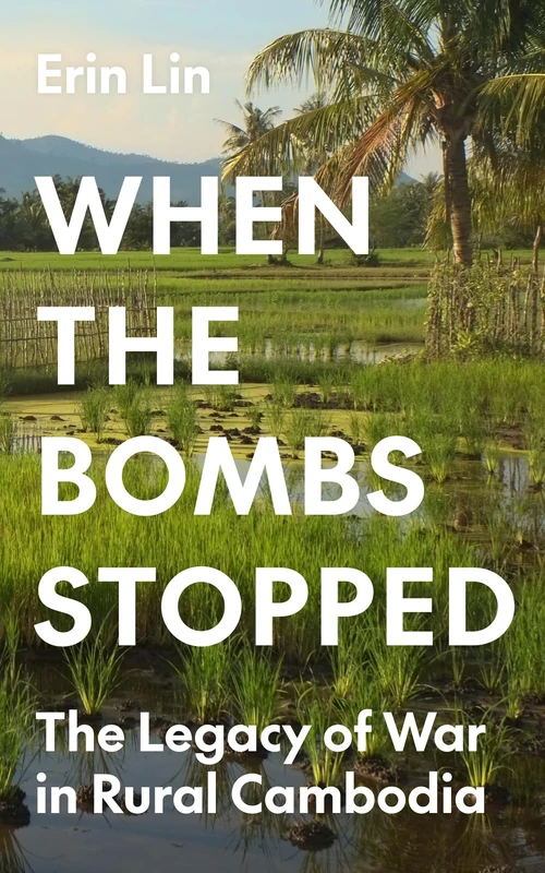 When the Bombs Stopped: The Legacy of War in Rural Cambodia: 206 (Princeton Studies in International History and Politics) - Image 1