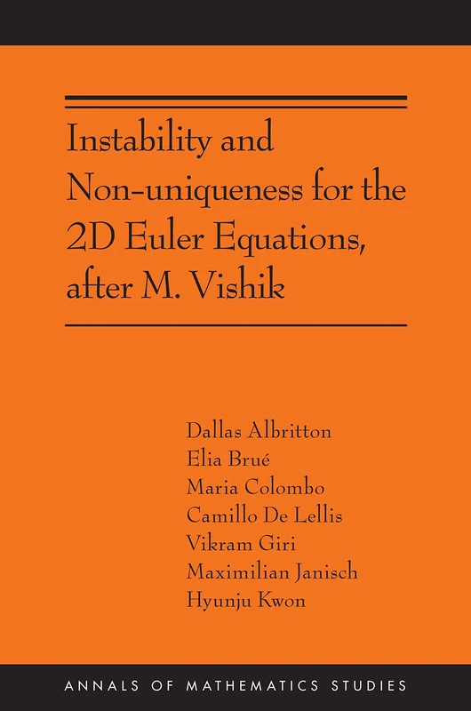Instability and Non-uniqueness for the 2D Euler Equations, after M. Vishik: (AMS-219) (Annals of Mathematics Studies, 219)