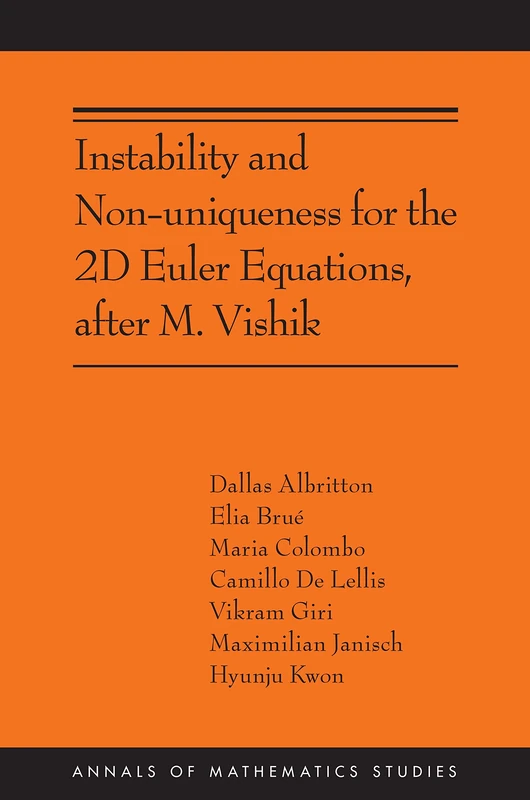 Instability and Non-uniqueness for the 2D Euler Equations, after M. Vishik: (AMS-219) (Annals of Mathematics Studies, 219)