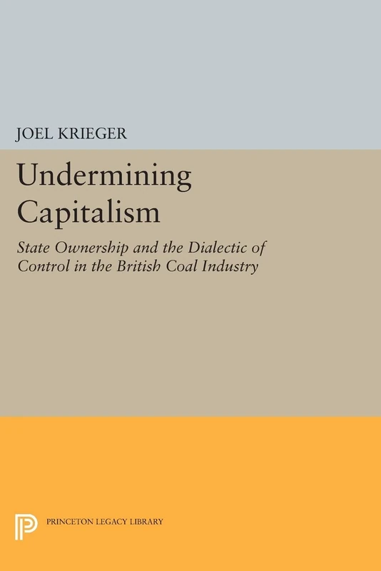 Undermining Capitalism: State Ownership and the Dialectic of Control in the British Coal Industry (Princeton Legacy Library): 729