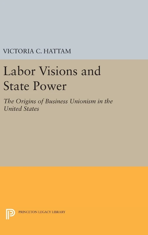 Labor Visions and State Power – The Origins of Business Unionism in the United States: 145 (Princeton Studies in American Politics)