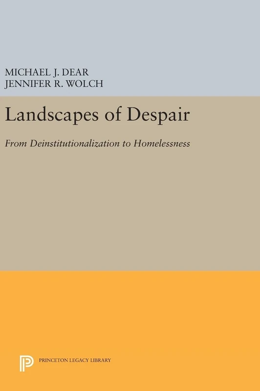 Landscapes of Despair – From Deinstitutionalization to Homelessness (Princeton Legacy Library)