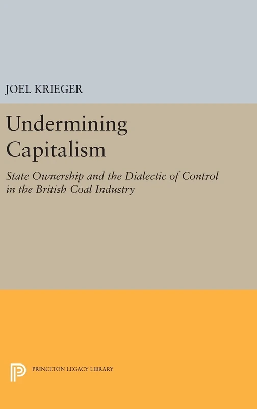 Undermining Capitalism – State Ownership and the Dialectic of Control in the British Coal Industry: 729 (Princeton Legacy Library)