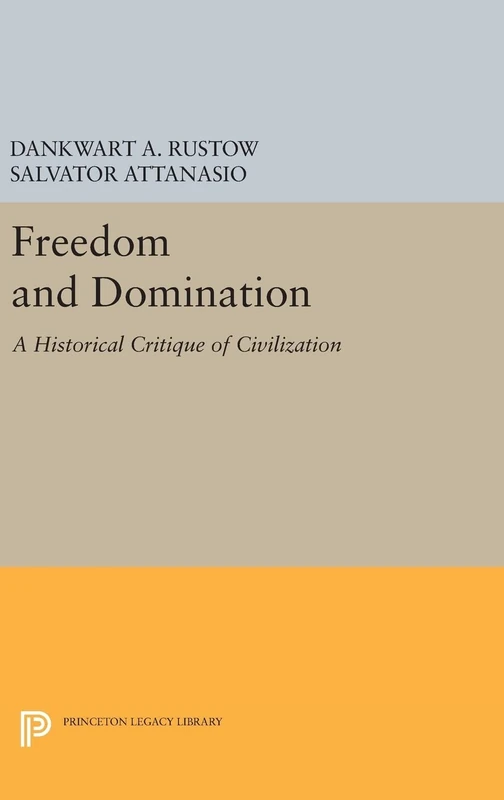 Freedom and Domination – A Historical Critique of Civilization: 579 (Princeton Legacy Library)