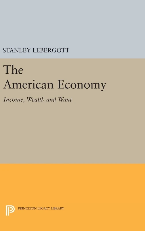 The American Economy – Income, Wealth and Want: 1412 (Princeton Legacy Library)