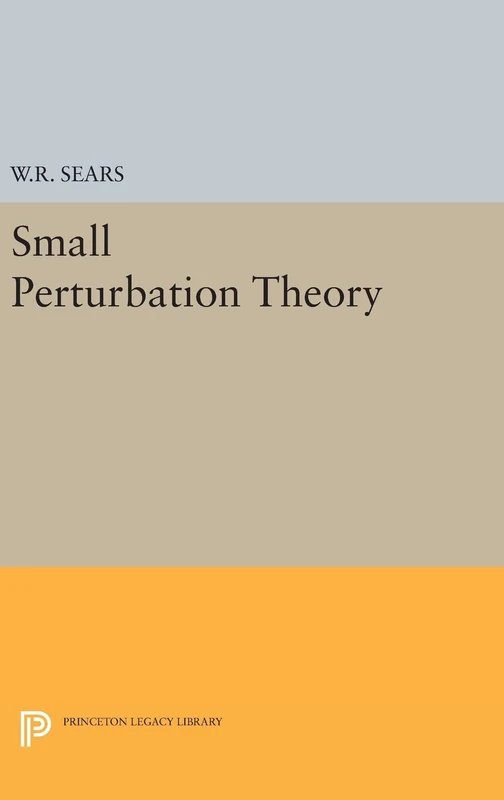 Small Perturbation Theory: 2349 (Princeton Legacy Library)