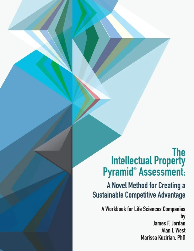 Intellectual Property Pyramid Assessment: A Novel Method for Creating a Sustainable Competitive Advantage