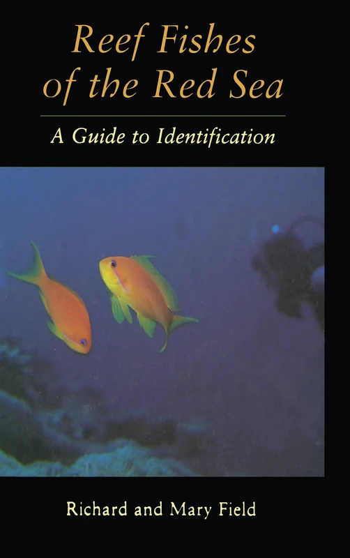 Reef Fish Of The Red Sea: A Guide to Identification