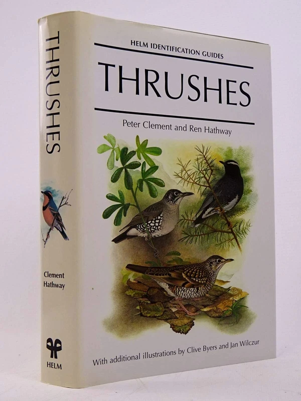 Thrushes (Helm Identification Guides)