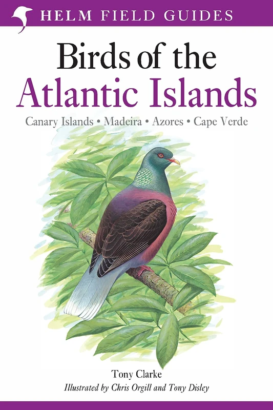 Field Guide to the Birds of the Atlantic Islands: Canary Islands, Madeira, Azores, Cape Verde (Helm Field Guides) - Image 1