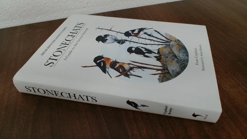 Stonechats (Helm Identification Guides)