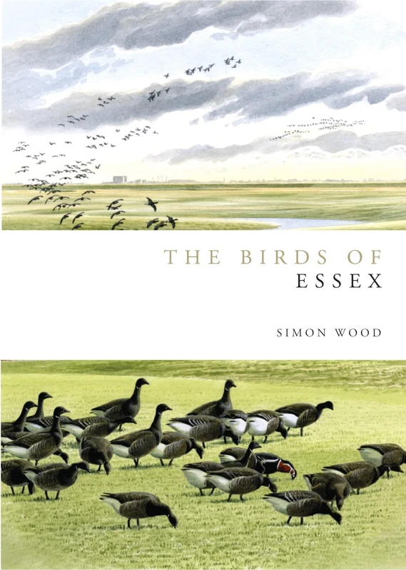 Birds of Essex (Helm Avifaunas)