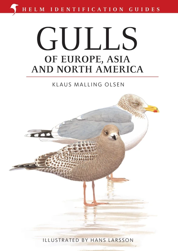 Gulls of Europe, Asia and North America (Helm Identification Guides)