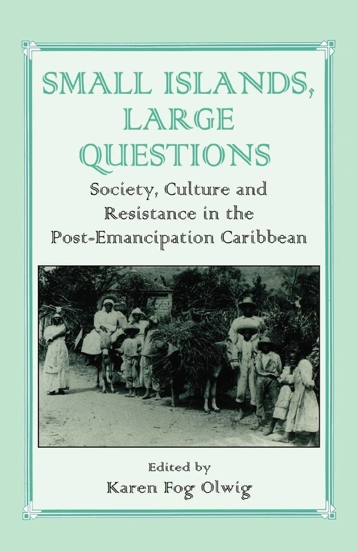 Small Islands, Large Questions: Society, Culture and Resistance in the Post-Emancipation Caribbean (Routledge Studies in Slave and Post-Slave Societies and Cultures)