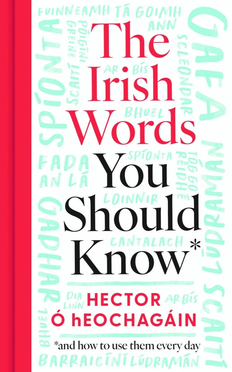 The Irish Words You Should Know: and how to start using them again: and how to use them every day