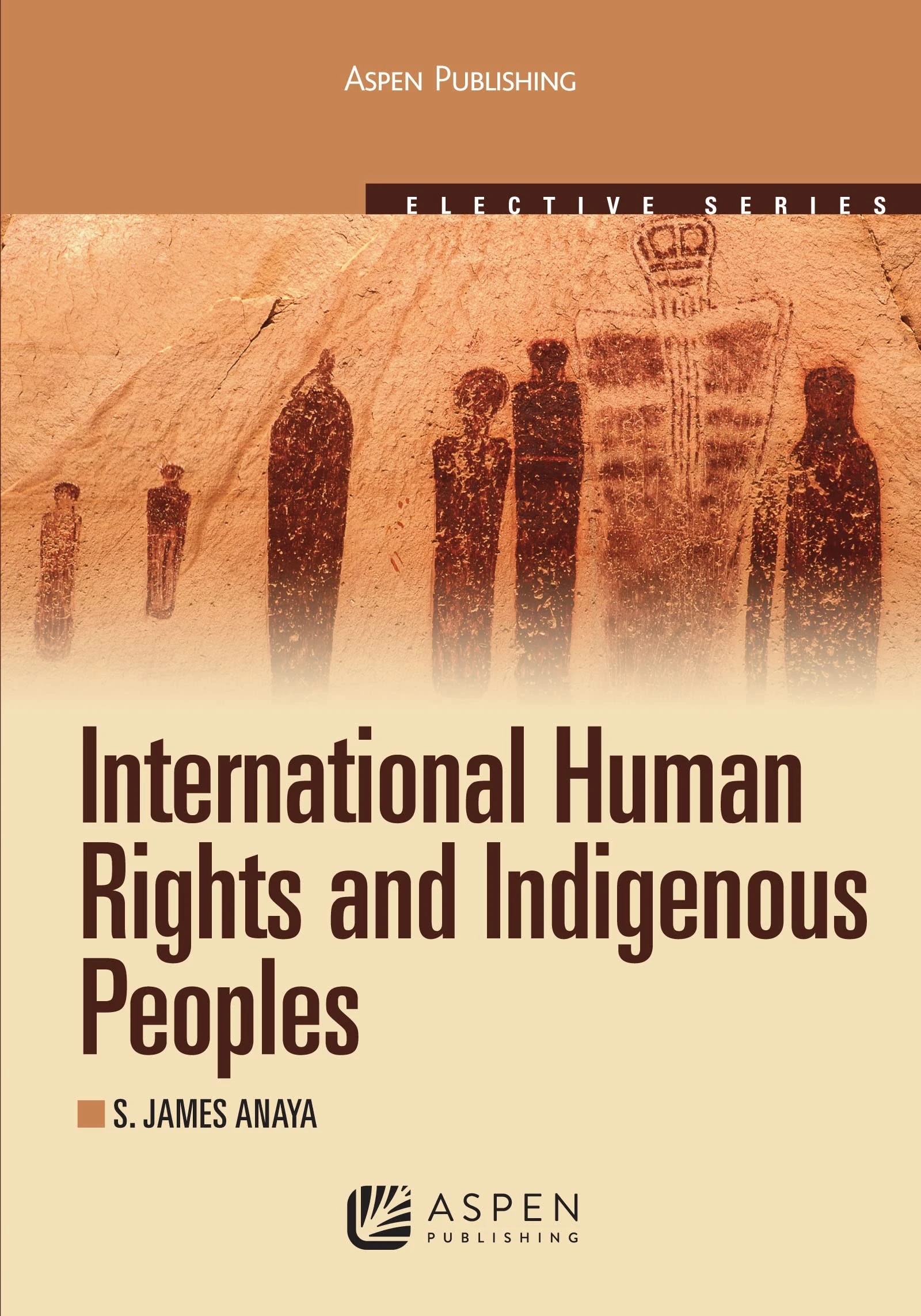 International Human Rights and Indigenous Peoples: 2010 (Aspen Elective)