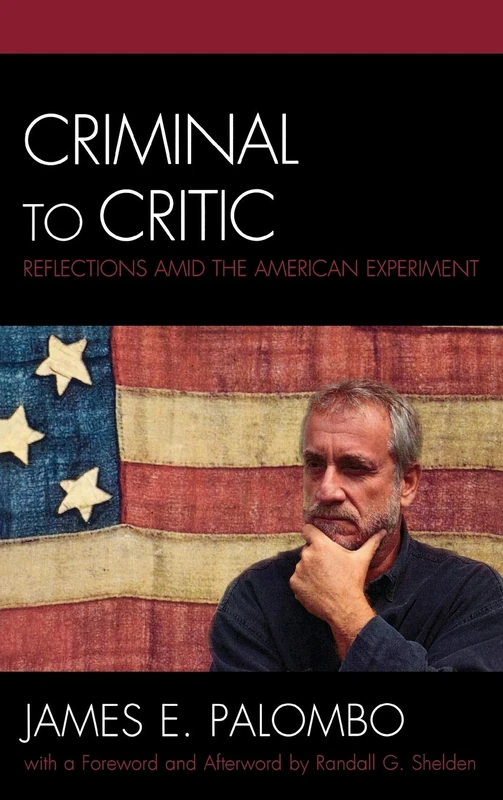Criminal to Critic: Reflections Amid the American Experiment (Critical Perspectives on Crime and Inequality) - Image 1