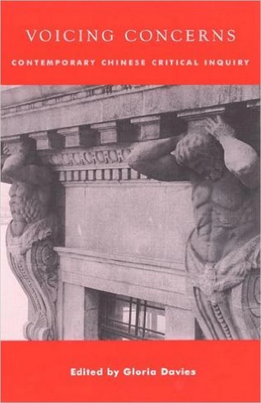 Voicing Concerns: Contemporary Chinese Critical Inquiry Book