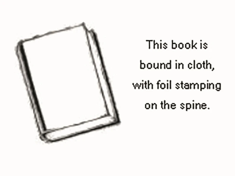 The Career Mystique: Cracks in the American Dream