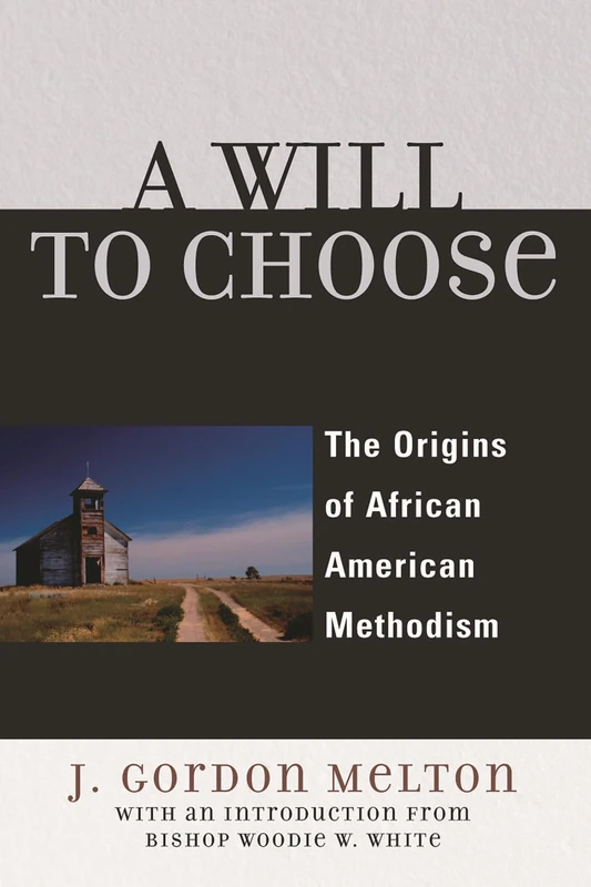 A Will to Choose: The Origins of African American Methodism - Image 1