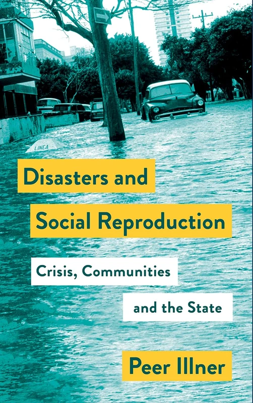 Disasters and Social Reproduction: Crisis Response between the State and Community (Mapping Social Reproduction Theory)
