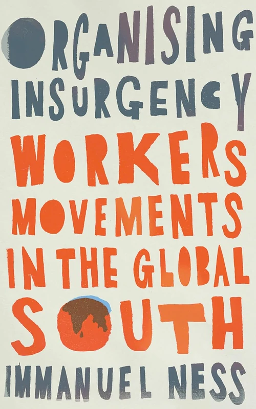 Organizing Insurgency: Workers' Movements in the Global South (Wildcat)