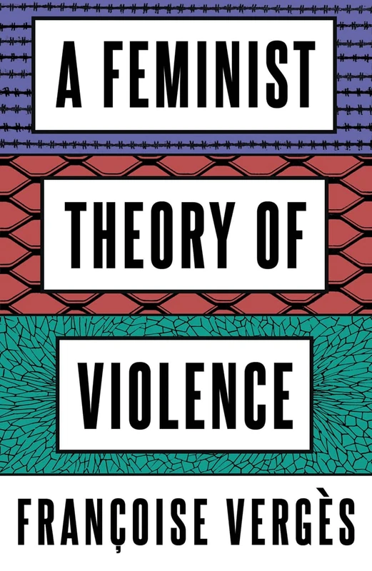 A Feminist Theory of Violence: A Decolonial Perspective - Image 1