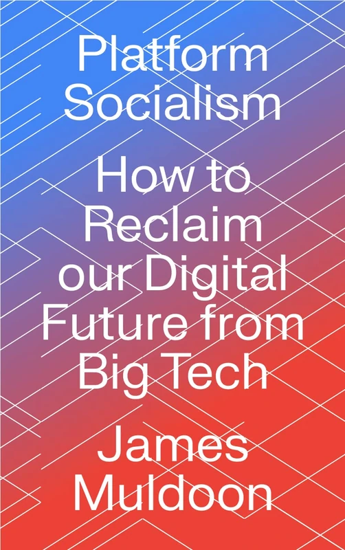 Platform Socialism: How to Reclaim our Digital Future from Big Tech - Image 1