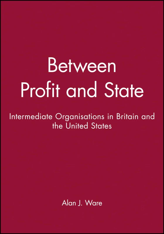Between Profit and State: Intermediate Organisations in Britain and the United States - Image 1
