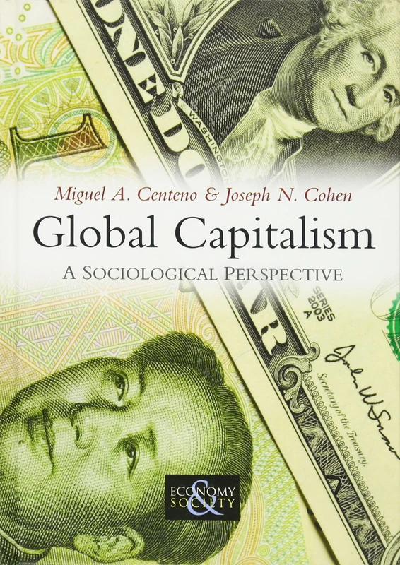 Global Capitalism: A Sociological Perspective: 7 (Economy and Society)
