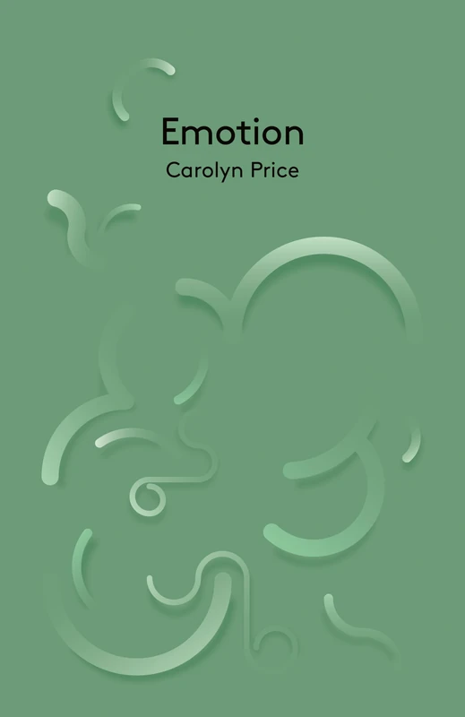 Emotion (Key Concepts in Philosophy)