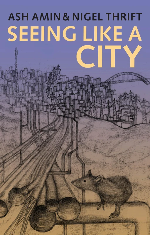 Seeing Like a City - Image 1