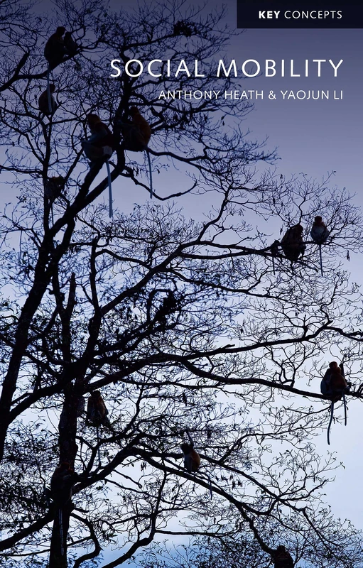 Social Mobility (Key Concepts)