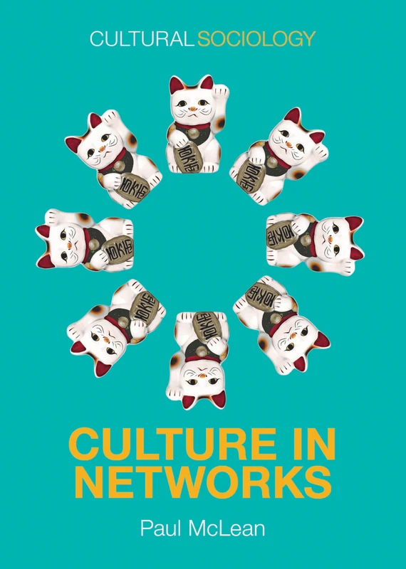 Culture in Networks (Cultural Sociology)